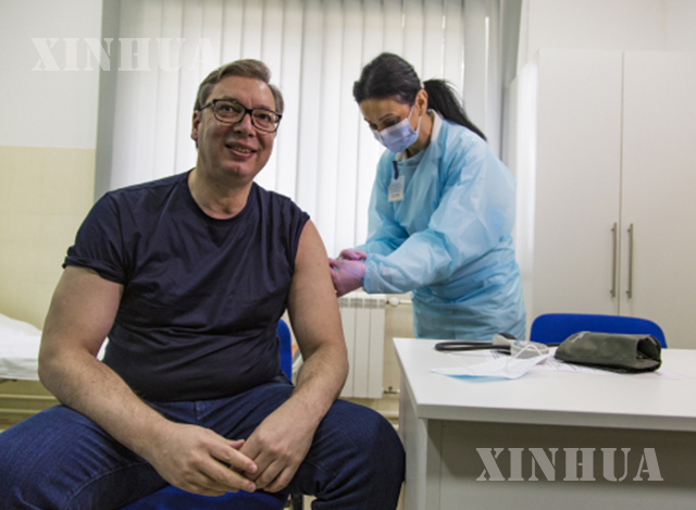 ဆားဘီးယားနိုင်ငံ သမ္မတ Aleksandar Vucic က တရုတ်နိုင်ငံ Sinopharm COVID-19 ရောဂါ ကာကွယ်ဆေး ထိုးနှံမှုခံယူနေစဉ်(ဆင်ဟွာ)